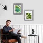 Set 2 Cuadros Tropical II Marco Espejo Plata F - 43X50